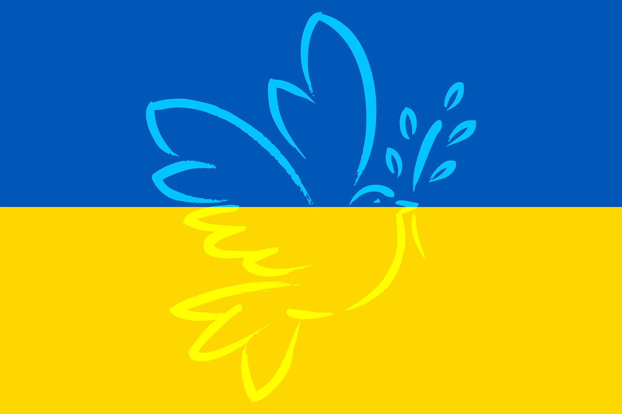 624f24076568a065157181.png